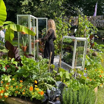she grows veg   edible get up and grow allotment garden   hampton court palace garden festival 2021