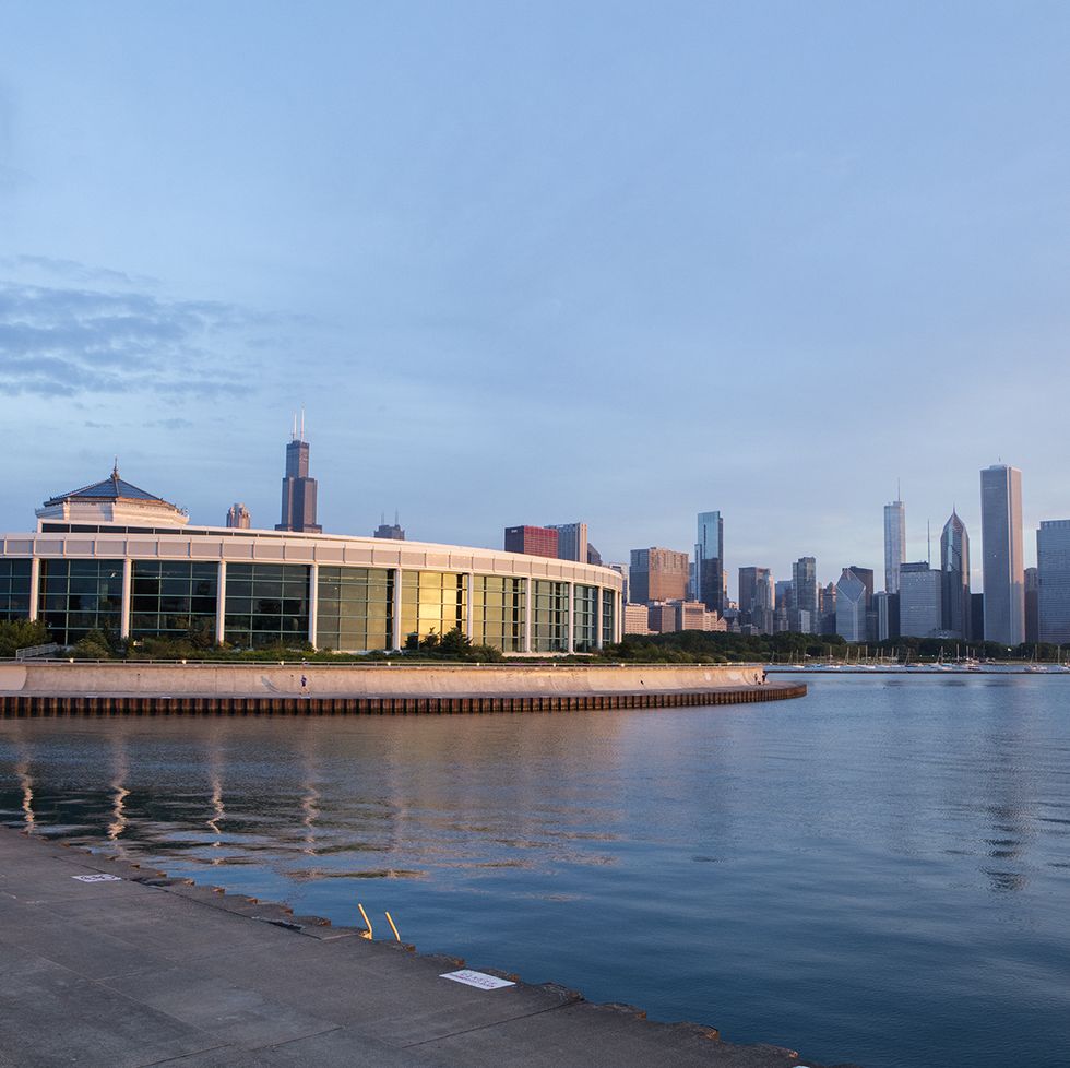 shedd aquarium oceanarium exterior with chicago skyline