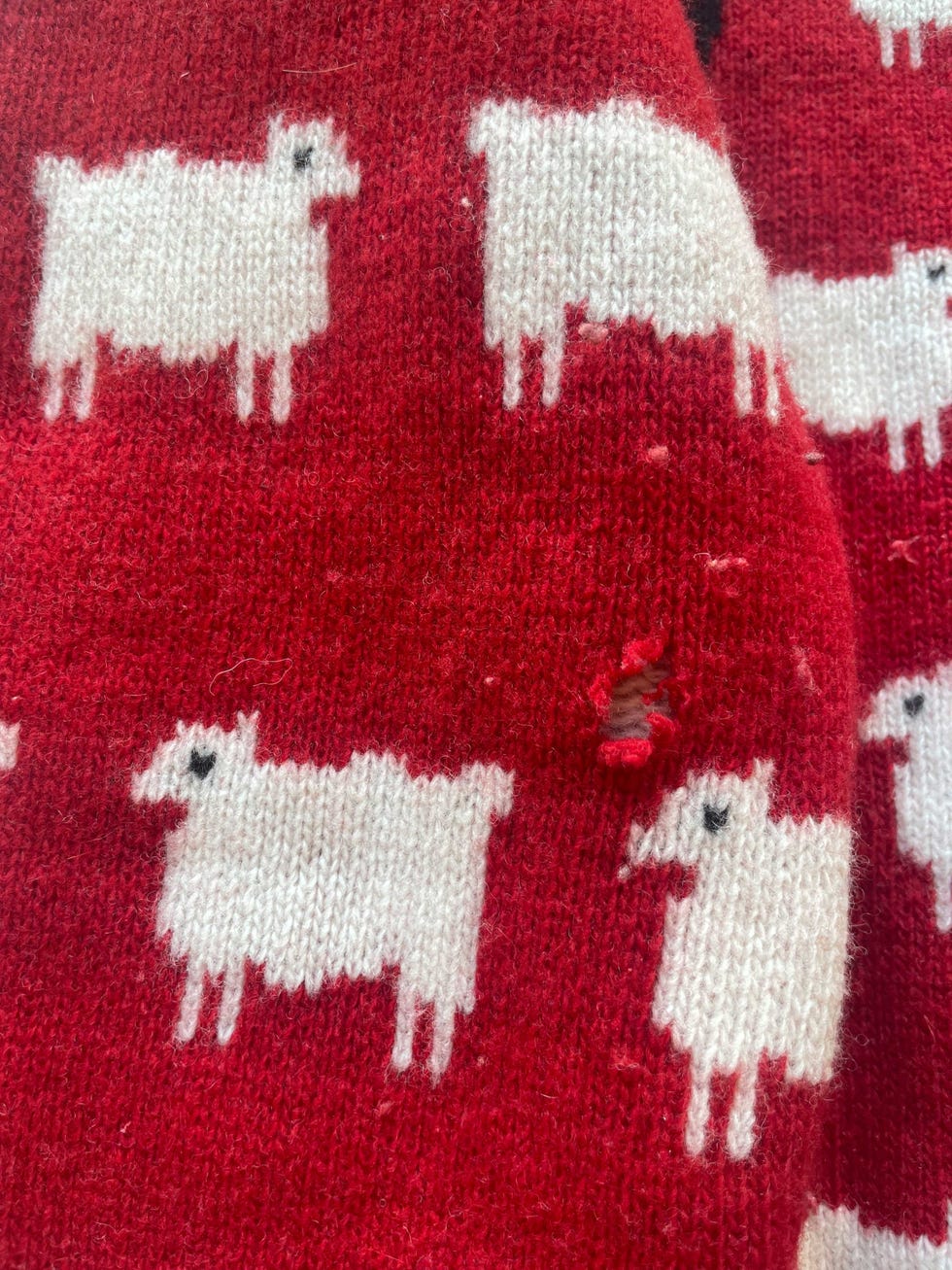 clothes moths ruined jumper