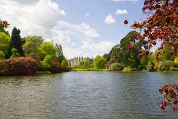 Sheffield Park Gardens in East Sussex