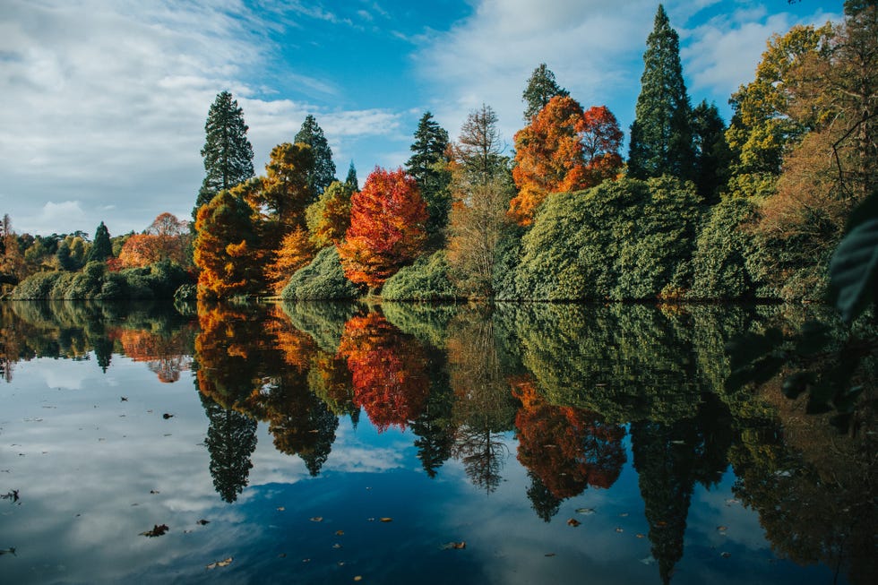 sheffield park, sussex