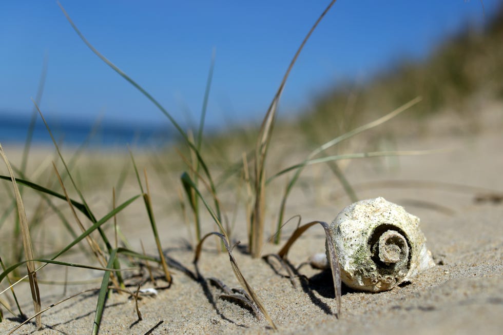 Nantucket And Martha's Vineyard Struggle With Tourism Due To COVID-19 nantucket and martha's vineyard struggle with tourism due to covid 19