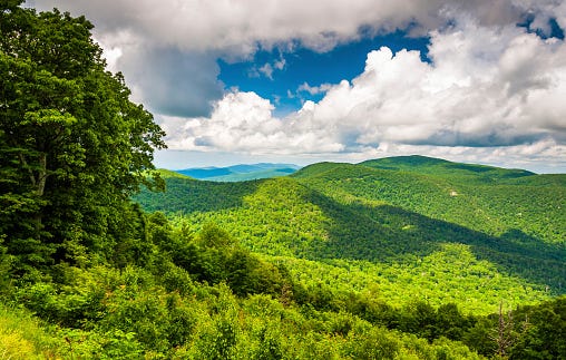 shenandoah half marathon