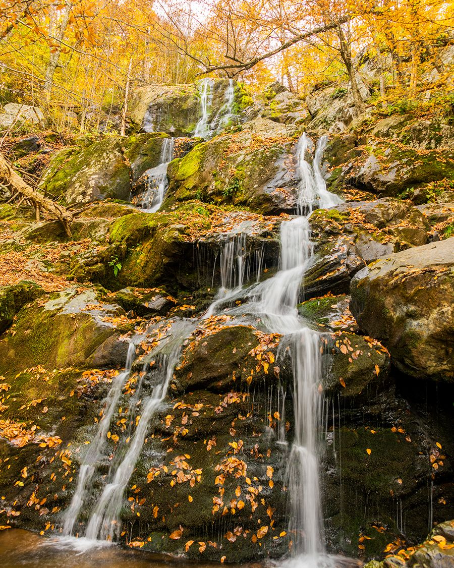 shenandoah national park waterfall in fall
