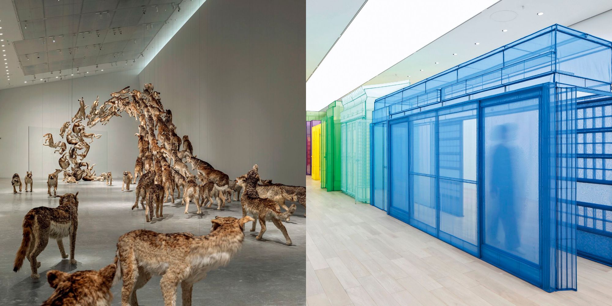 【美品】直島　安藤忠雄　建築　アート　写真集　フォトブック　アートブック 安藤忠雄が設計する新美術館が直島に2025年春開館予定 ｜流行