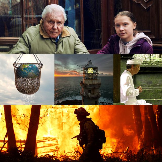 five essential environmental documentaries