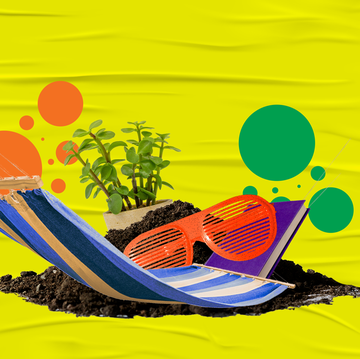 hammock, sunglasses, plant, dirt, yellow background, orange dots, green dots