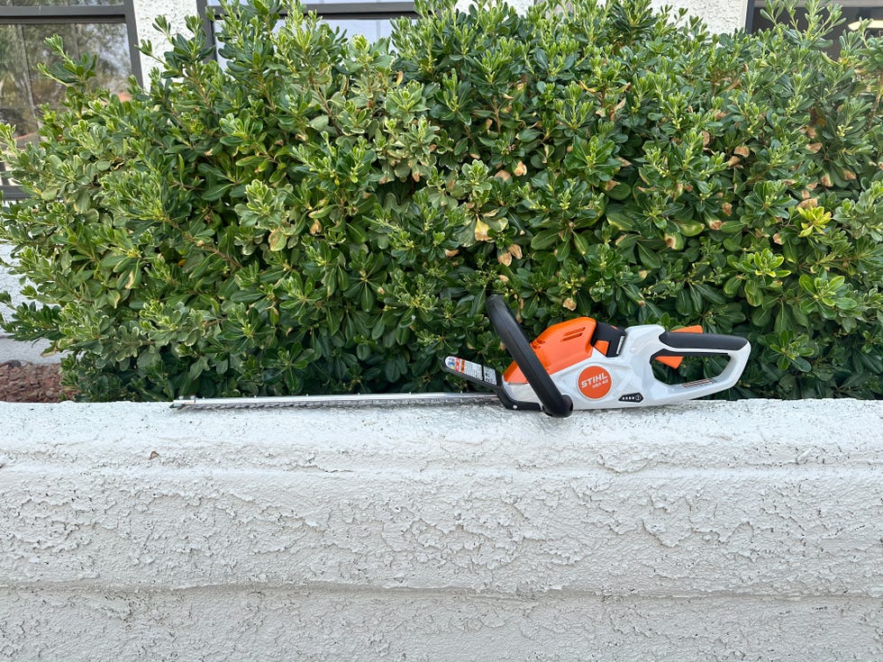 shopping guide hedge trimmers