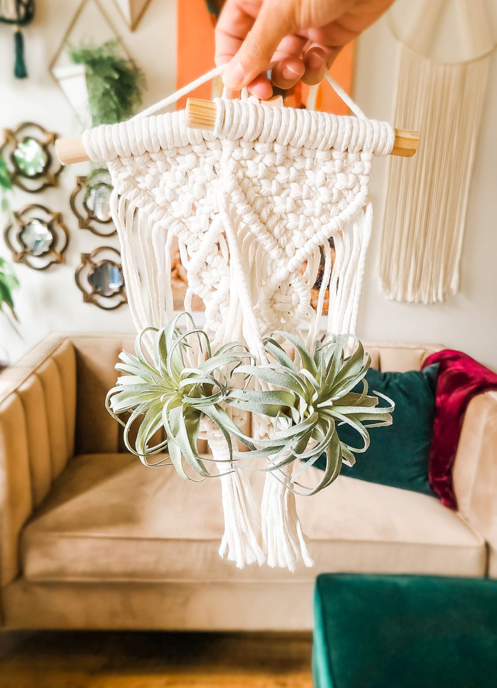 shop small etsy sweet home alberti, hand holding a white plant hanger