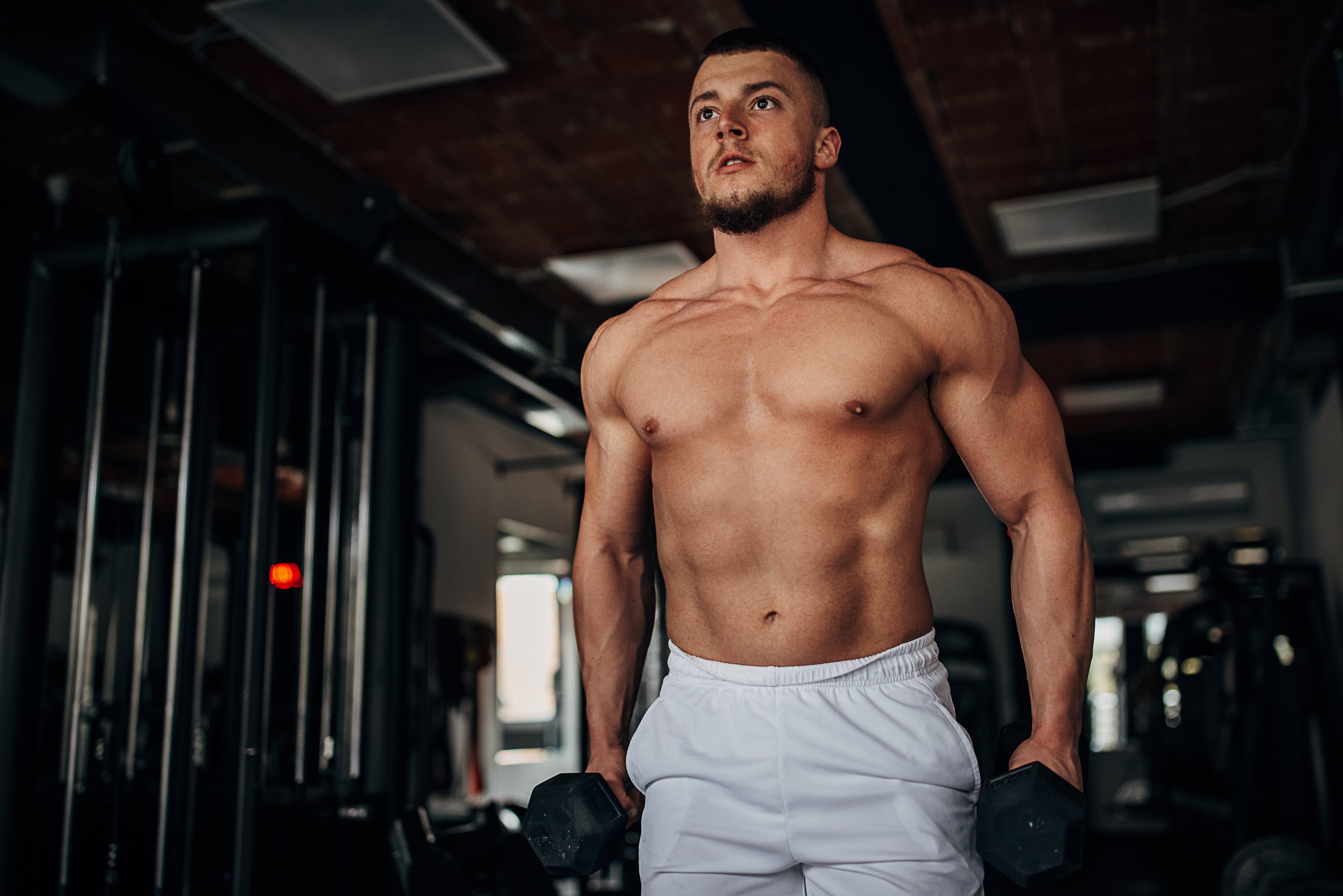 The Muscle Groups You Should Train on the Same Day