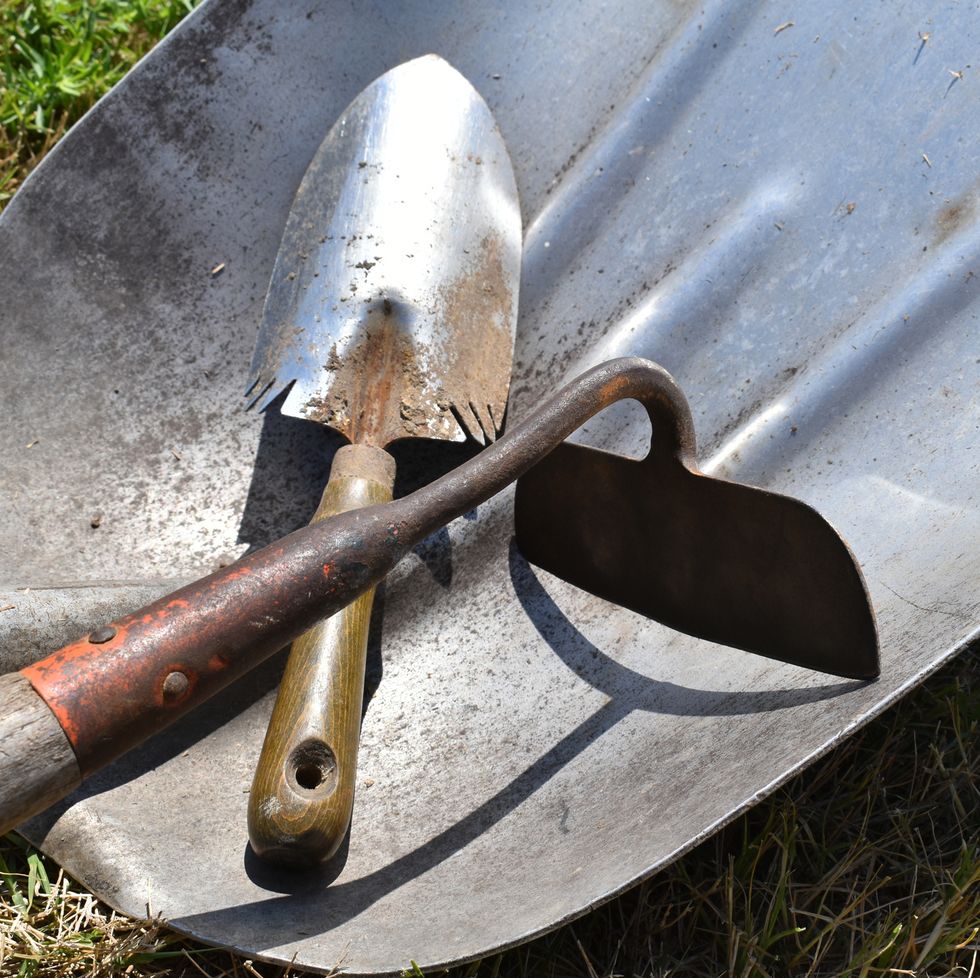 shovel, hoe and garden trowel
