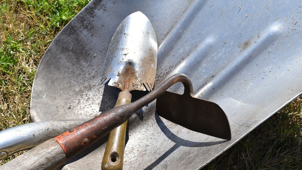 shovel, hoe and garden trowel