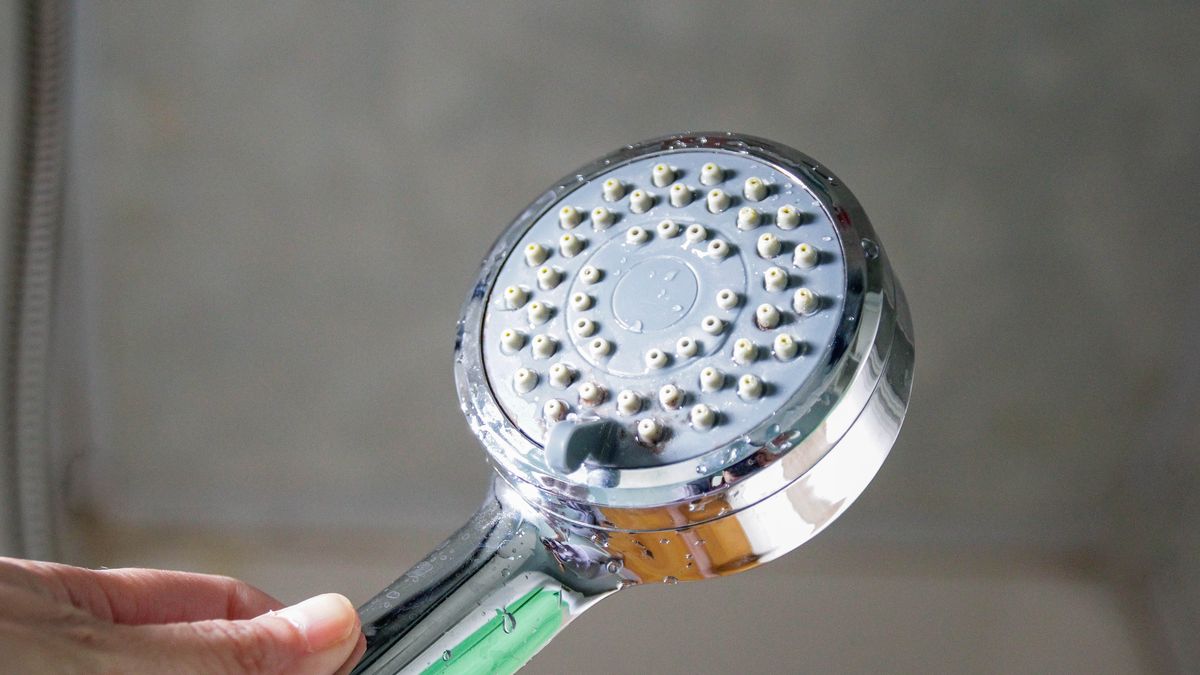 preview for How to descale a showerhead | Good Housekeeping UK