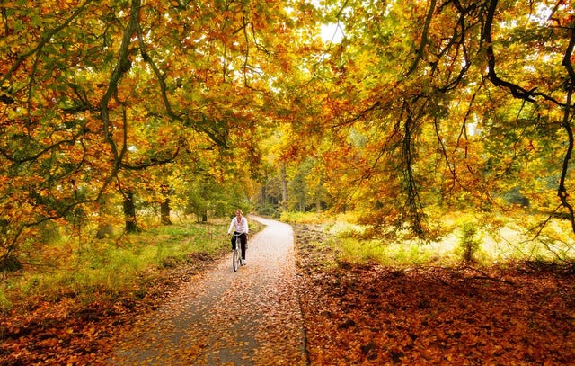 7 Surprising Things That Happen To Your Body in the Fall | Bicycling