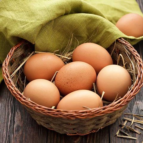 eggs food poisoning