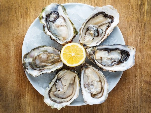 oysters