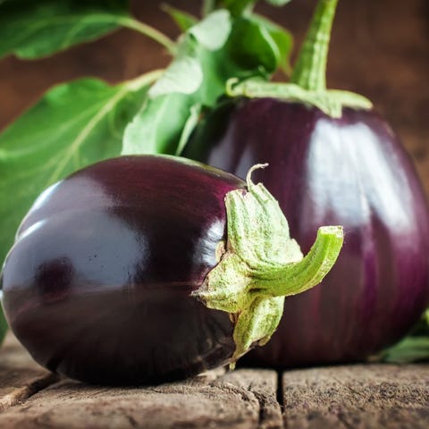 are eggplant leaves poisonous to dogs