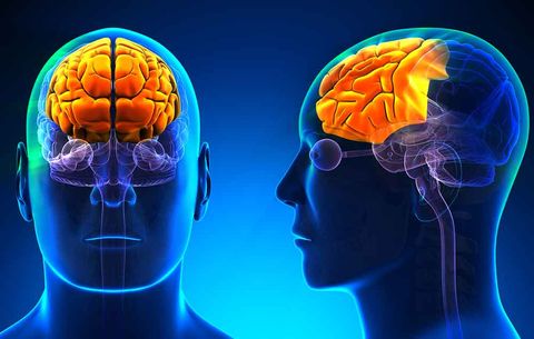 men's brains shrink in different areas
