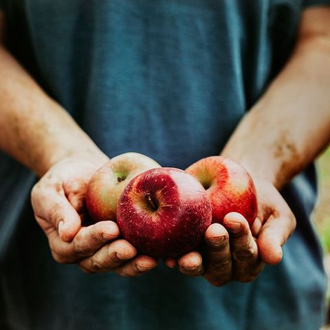 Hands holding apples