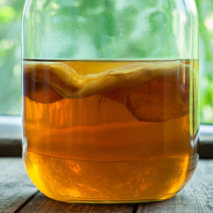 kombucha