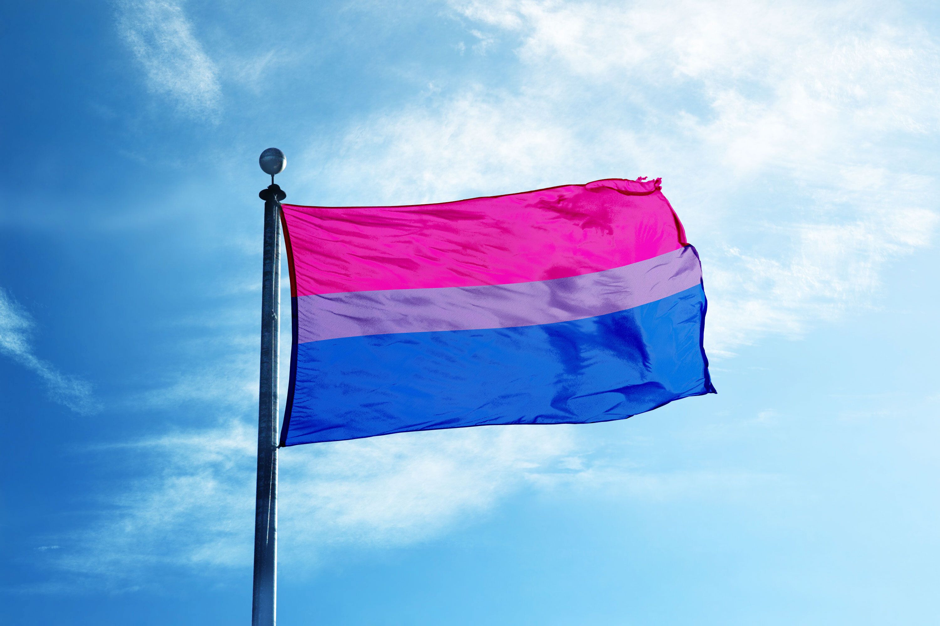 Bisexual Pride Flag What to Know About the History and Meaning
