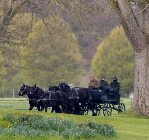 Prince Philip Carriage Driving