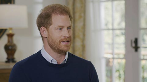 prince harry tom bradby
