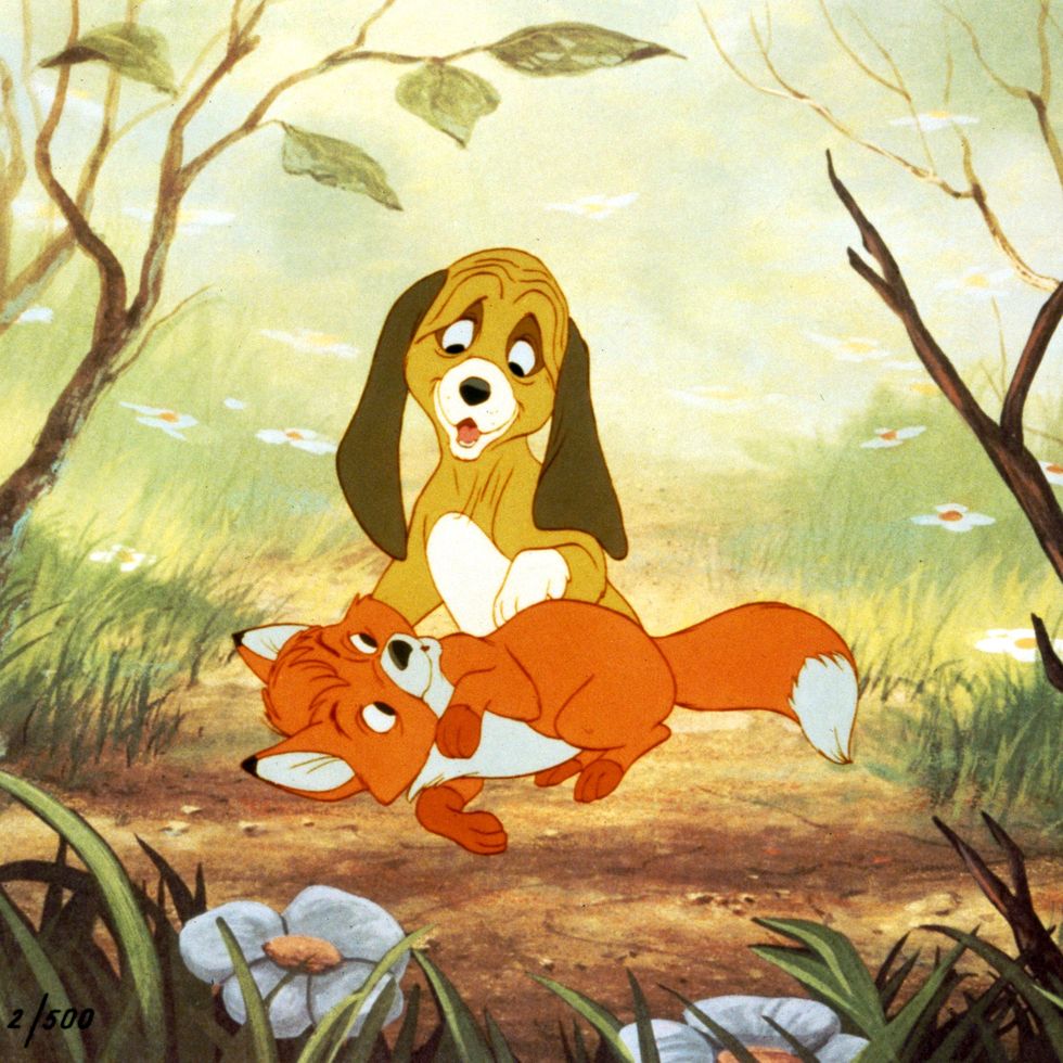 9 Of The Most Famous Dogs In Films Of All Time