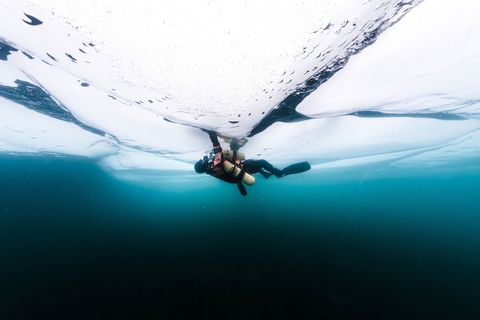 A scubaduiker zwemt onder het oppervlak van het Russische Baikalmeer