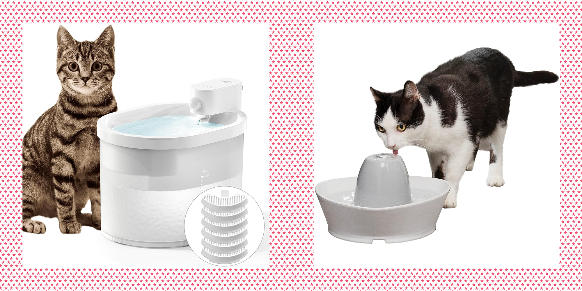 9 Best Cat Water Fountains Of 2024