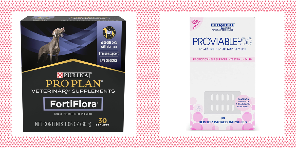 Fortiflora petsmart canada best sale