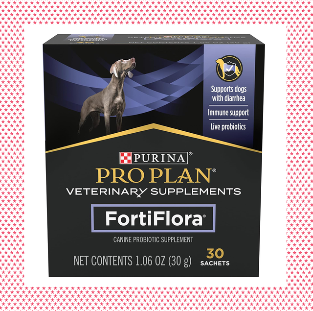 probiotics for dogs purina pro plan veterinary supplements proviable digestive health supplements