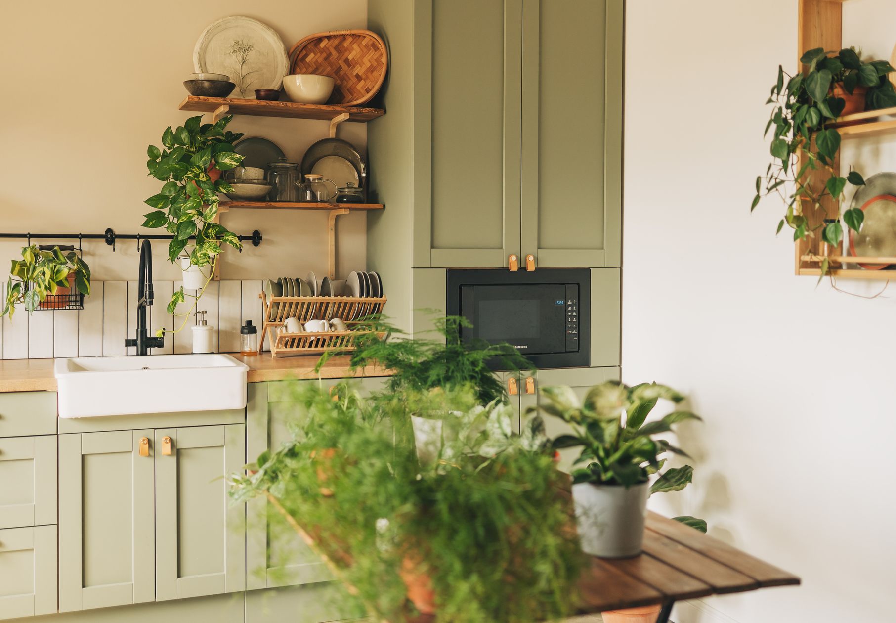 15 plantas perfectas para colocar en la cocina y decorar