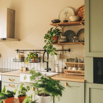 Cookware Reviews - Best Kitchen Appliances and Gadgets