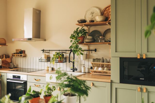 side view of new furniture, wooden countertop, gas stove, built in oven equipment, cooking hood, kitchenware supplies, houseplant in flower pot at kitchen in apartment with modern interior