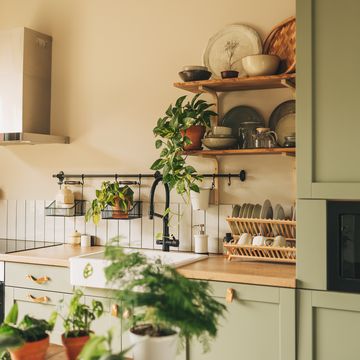 side view of new furniture, wooden countertop, gas stove, built in oven equipment, cooking hood, kitchenware supplies, houseplant in flower pot at kitchen in apartment with modern interior