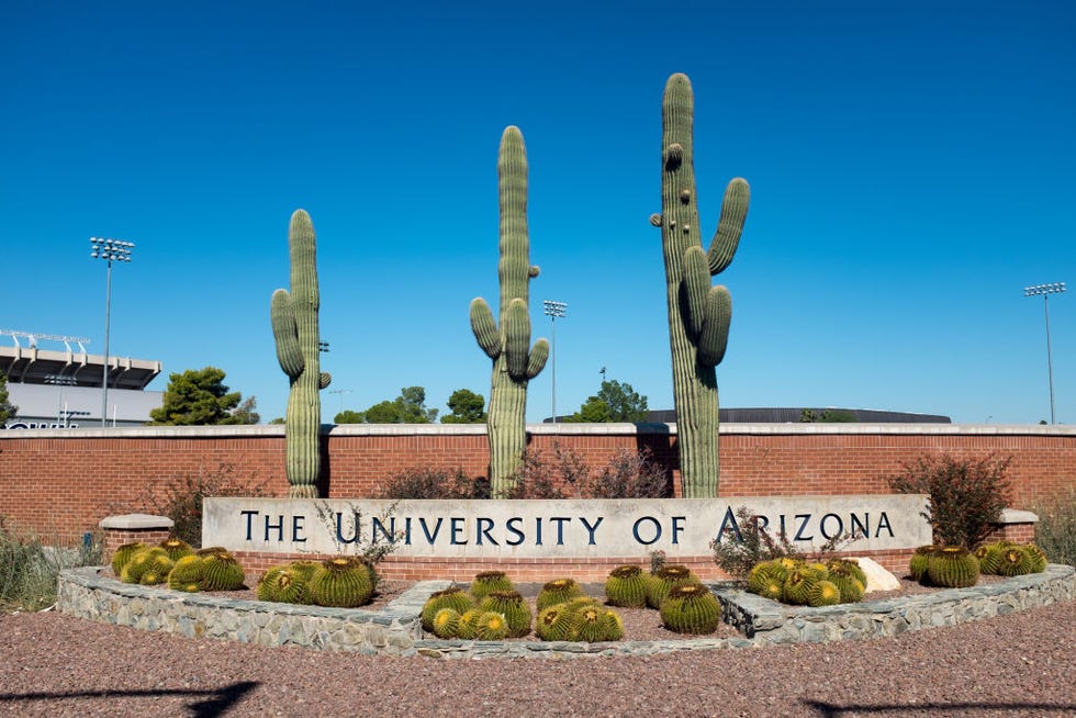 university of arizona