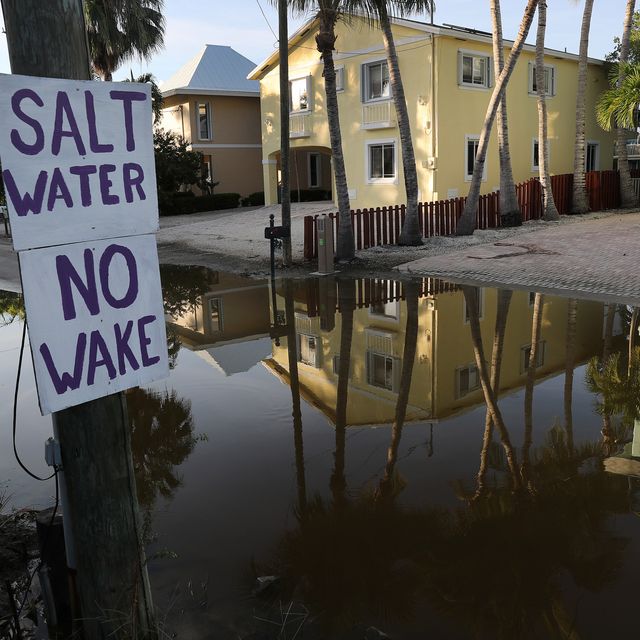 King Tides, Atlantic Storms, And Warm Waters Cause Persistent Flooding In Key Largo, Florida