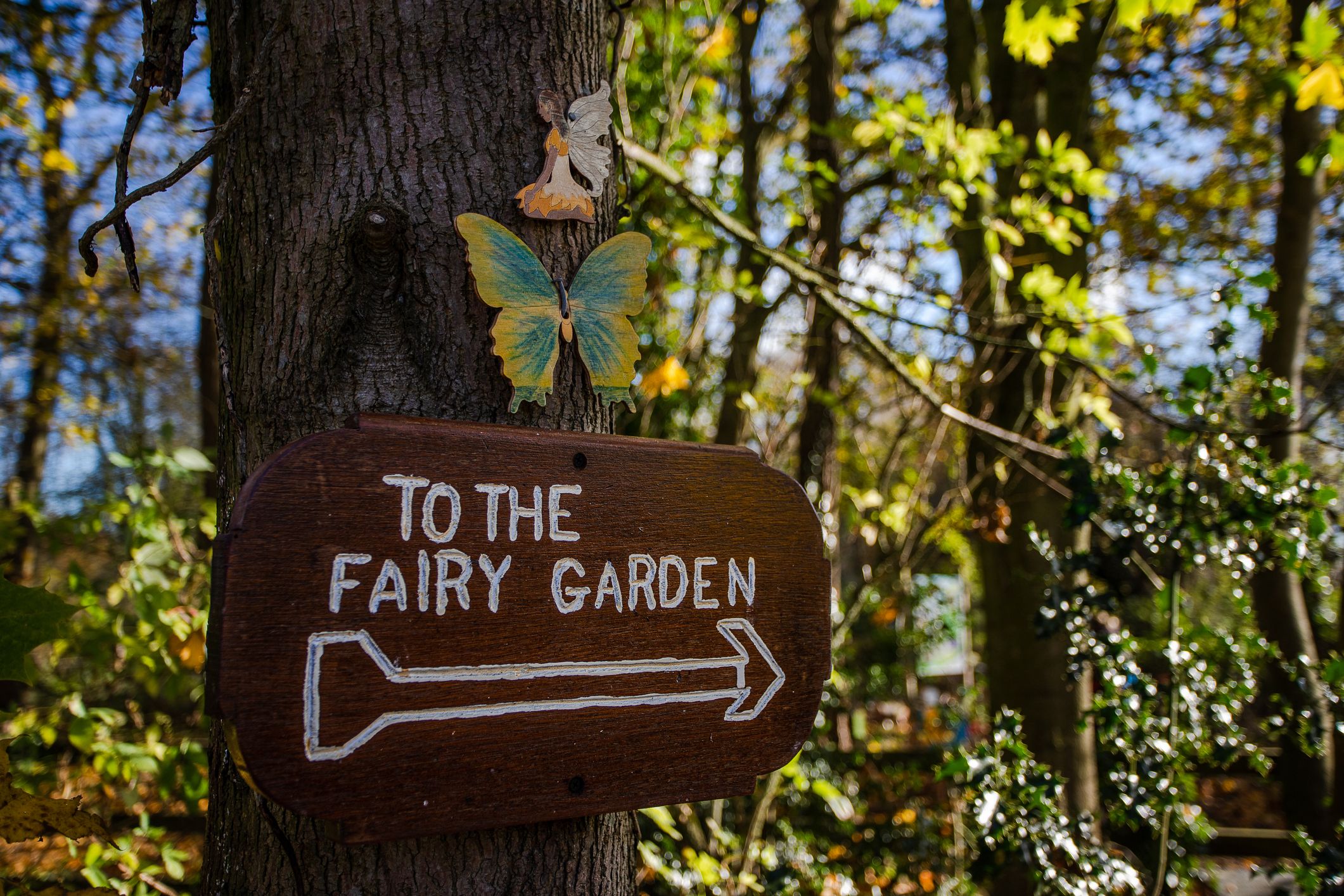 The Best Fairy Garden Ideas - How to Create a Fairy Garden