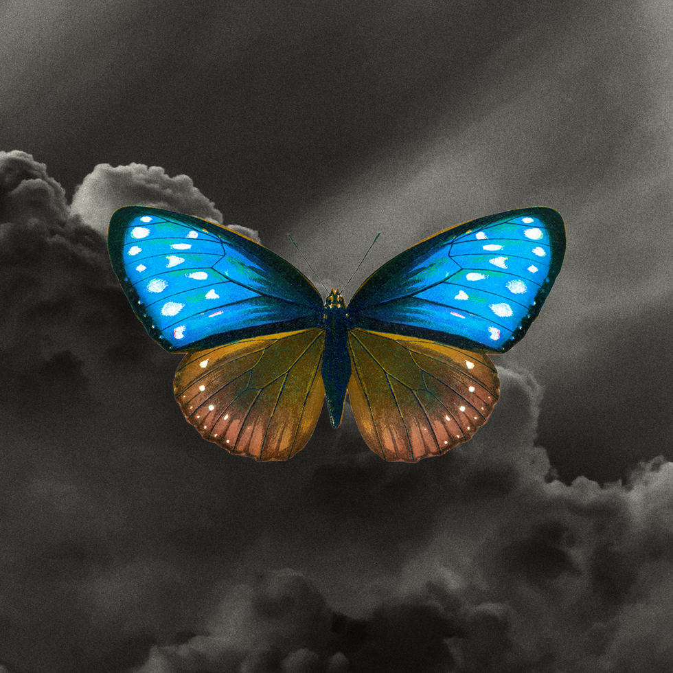 a butterfly on a cloud