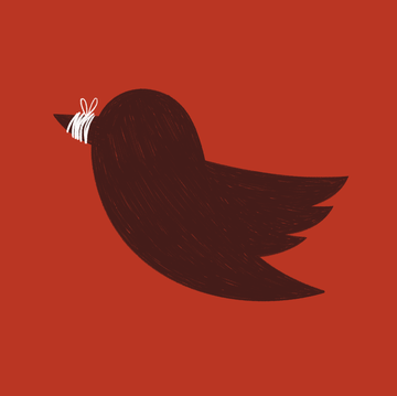 Red, Illustration, Bird, Tail, Beak, Wing, Art, 