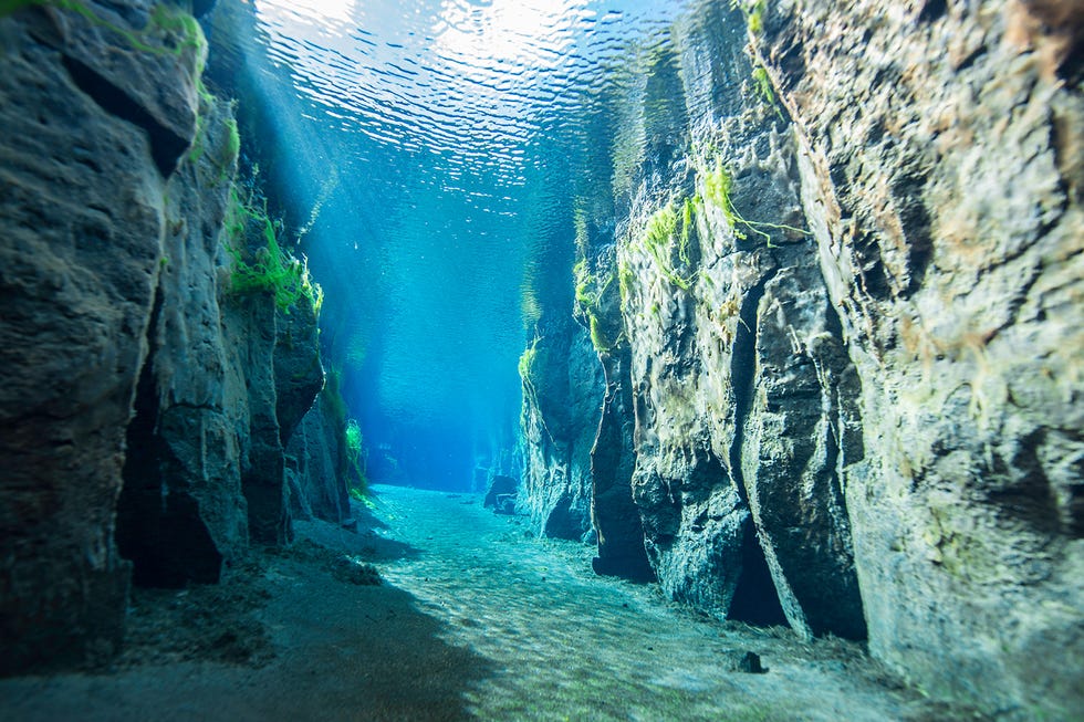 world-oceans-day