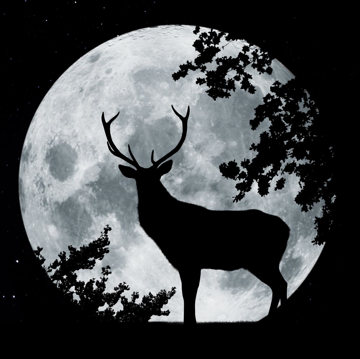 silhouette in front of a full moon with tree and proud deer with antler