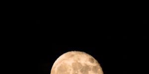 full wolf moon leo january 2024