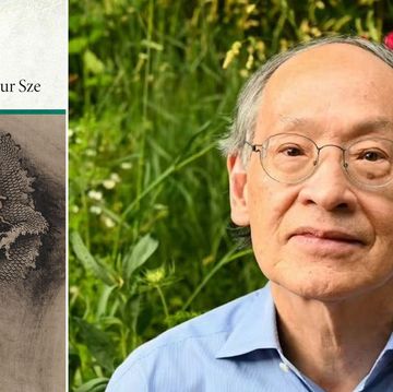 arthur sze, silk dragon ii, translations of chinese poetry, book review