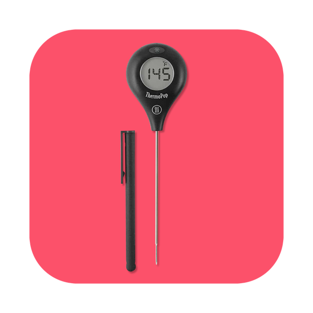 digital thermometer thermoworks