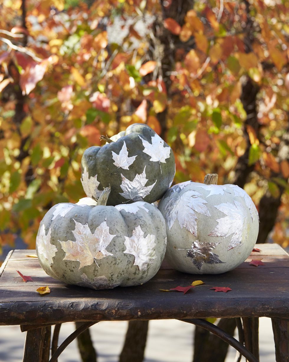 three bluish green pumpkins adorned with silver leaves, displayed on rustic wood bench with fall trees in background