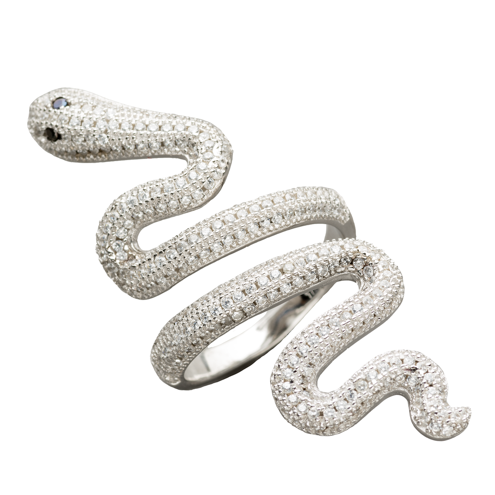 Snake, Serpent, Scaled reptile, Reptile, Corn Snake, Colubridae, Silver, Hognose snake, Fashion accessory, Jewellery, 