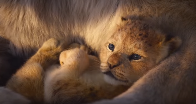 Disney lion store king remake trailer