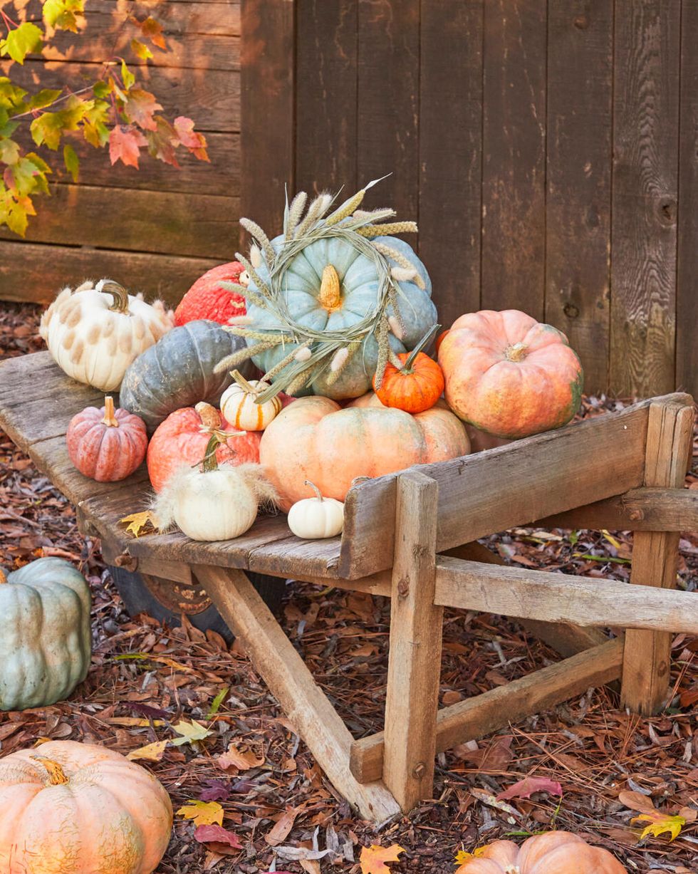 pumpkins decorated with grasses set in a wood wheelbarrow in front of a barn